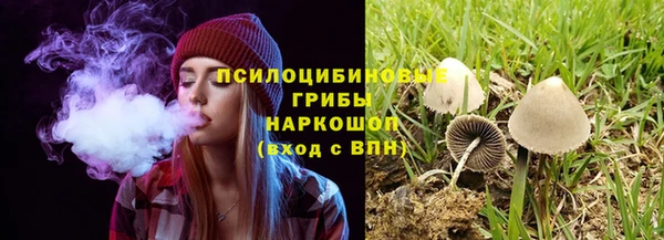 ALPHA-PVP Алексин