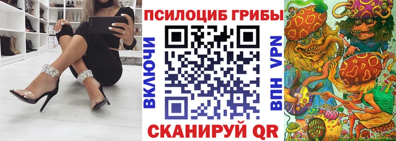 Галлюциногенные грибы мицелий  как найти   Ардатов 